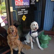Childhelp photo of: Service Dogs at Advocacy Center