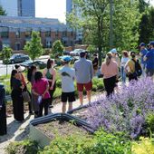 Emera photo of: Giving back @Hope Blooms